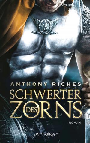 Cover of the book Schwerter des Zorns by C. E. Bernard