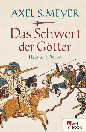 Book cover of Das Schwert der Götter