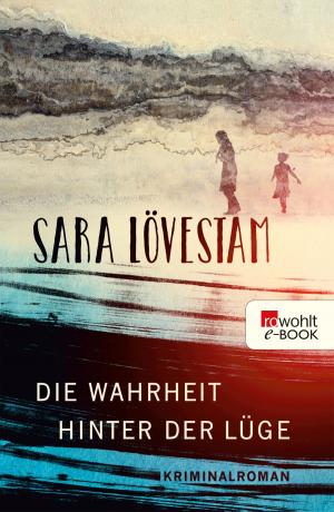 Cover of the book Die Wahrheit hinter der Lüge by Larry Patrick Shriner