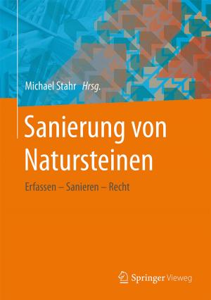 Cover of the book Sanierung von Natursteinen by Christoph Zydorek