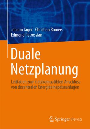Cover of the book Duale Netzplanung by Olaf Hinz