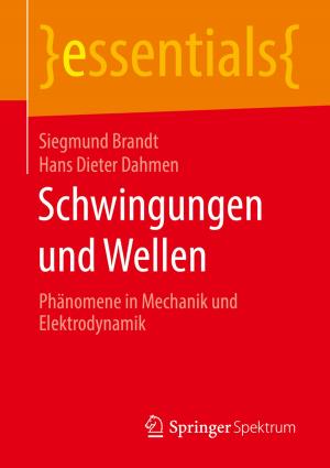 Cover of the book Schwingungen und Wellen by Wolfgang Schlicht