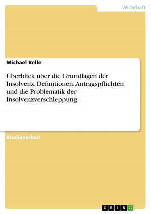 Cover of the book Überblick über die Grundlagen der Insolvenz. Definitionen, Antragspflichten und die Problematik der Insolvenzverschleppung by Lena Groß