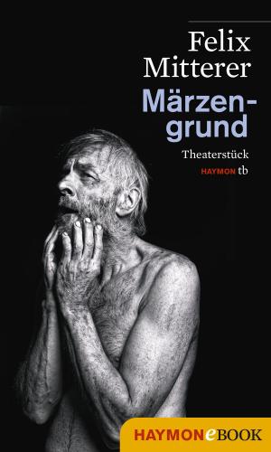 Cover of the book Märzengrund by Jürg Amann