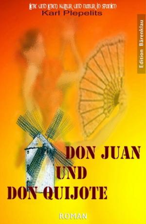 Cover of the book Don Juan und Don Quichote by Hentai Jones