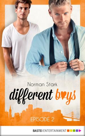 Cover of the book different boys - Episode 2 by Veronica Stallwood