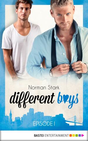 Cover of the book different boys - Episode 1 by Theodor J. Reisdorf