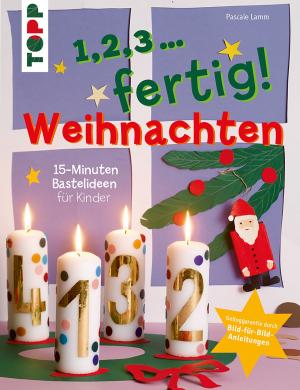 Book cover of 1,2,3, fertig ... Weihnachten
