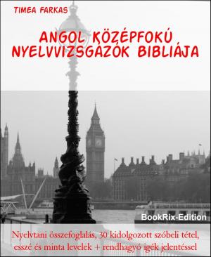 Cover of the book Angol Középfokú Nyelvvizsgázók Bibliája by Michael P.W. Moos