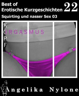 Cover of the book Erotische Kurzgeschichten - Best of 22 by Feronia Petri