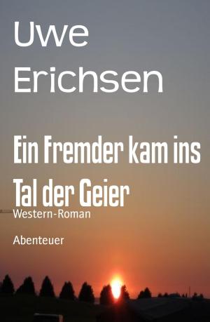 Cover of the book Ein Fremder kam ins Tal der Geier by Danny Wilson