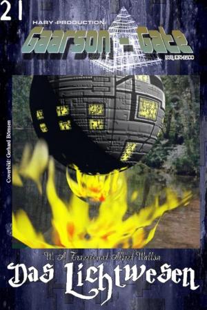 Book cover of GAARSON-GATE 021: Das Lichtwesen