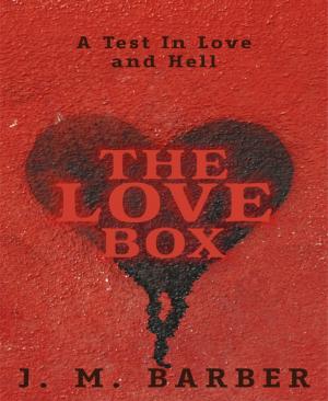 Cover of the book The Love Box by Mattis Lundqvist