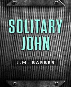 Book cover of Solitary John