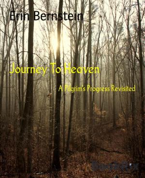 Cover of the book Journey To Heaven by Harper Johnson