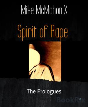 Cover of the book Spirit of Rape by Michael Ziegenbalg