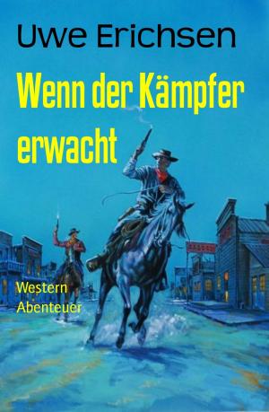 Cover of the book Wenn der Kämpfer erwacht by W. A. Hary