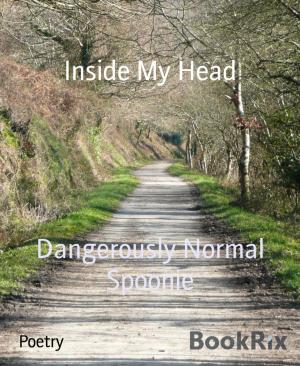 Cover of the book Inside My Head by K.C Rayleigh