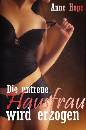 Cover of the book Die untreue Hausfrau wird erzogen by Edward Harper Parker
