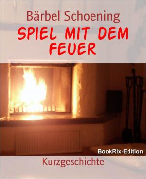 Cover of the book Spiel mit dem Feuer by Horst Friedrichs