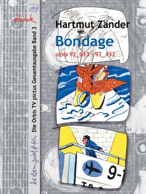 Cover of the book Bondage by Franz Werfel