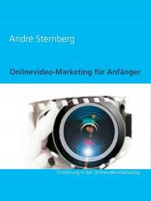 Cover of the book Onlinevideo-Marketing für Anfänger by Florian Leitgeb