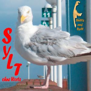 Cover of the book Sylt ohne Worte by Grigori Grabovoi