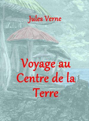 Cover of the book Voyage au Centre de la Terre by Sandra Pletsch