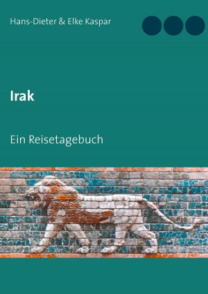 Cover of the book Irak by Pat Reepe