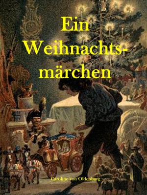 Cover of the book Ein Weihnachtsmärchen by Jens Mellies