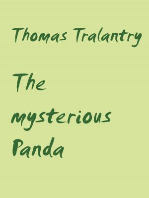 Cover of the book The mysterious Panda by Thorsten Schüler