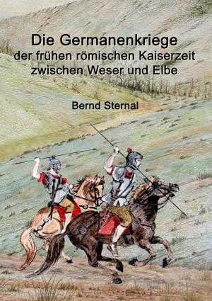 Book cover of Die Germanenkriege der frühen römischen Kaiserzeit zwischen Weser und Elbe