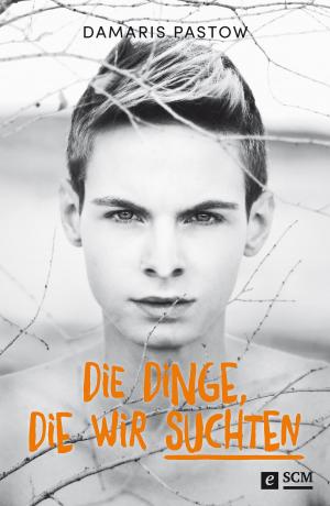 Cover of the book Die Dinge, die wir suchten by Deborah Meroff, Tom Hamblin