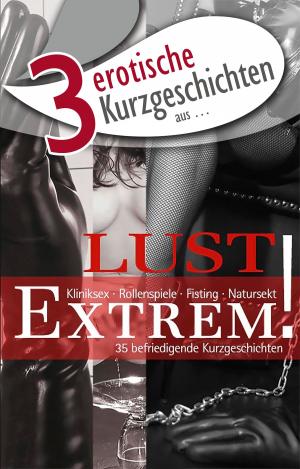 Cover of 3 erotische Kurzgeschichten aus: "Lust Extrem!"