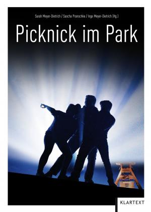 Cover of the book Picknick im Park by Tilmann Hanel