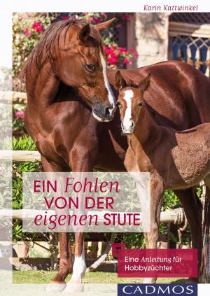 Cover of the book Ein Fohlen von der eigenen Stute by Kerstin Malcus