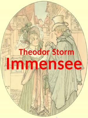 Cover of the book Immensee by John G. Edgar
