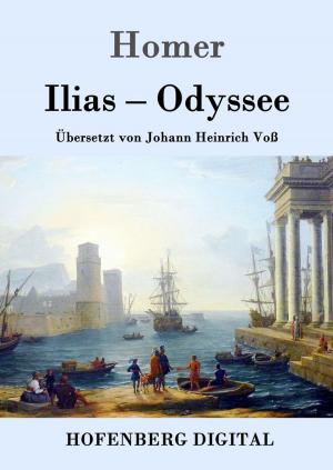 Book cover of Ilias / Odyssee