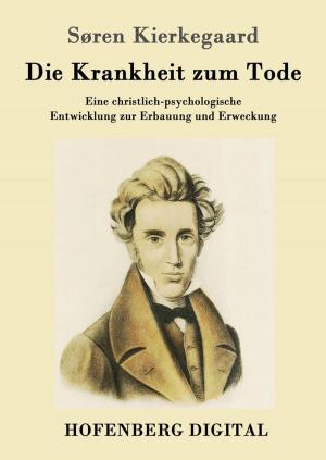 Cover of the book Die Krankheit zum Tode by Gustav Theodor Fechner