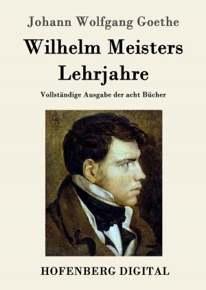 Cover of the book Wilhelm Meisters Lehrjahre by Johann Wolfgang Goethe