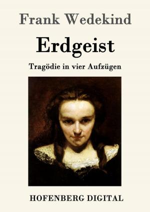 Cover of the book Erdgeist by Adalbert Stifter