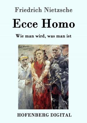 Cover of the book Ecce Homo by Theodor Storm