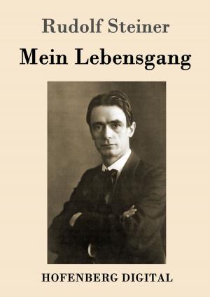 Cover of the book Mein Lebensgang by Lucius Annaeus Seneca