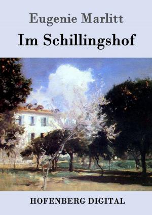 Cover of the book Im Schillingshof by E. T. A. Hoffmann