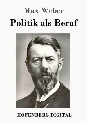 Cover of the book Politik als Beruf by Gerdt von Bassewitz