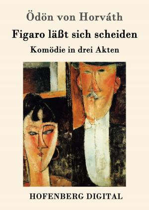 Cover of the book Figaro läßt sich scheiden by Jules Verne