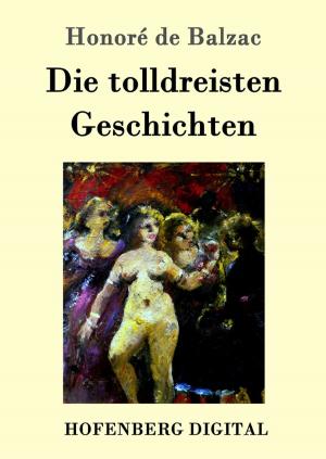 Cover of the book Die tolldreisten Geschichten by Arthur Schnitzler