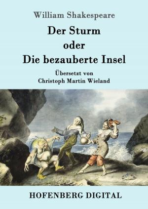 Cover of the book Der Sturm by Adalbert Stifter