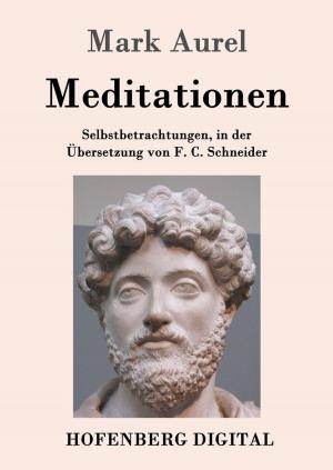 Cover of the book Meditationen by Max Weber
