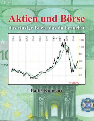 Cover of the book Aktien und Börse by Harry Eilenstein